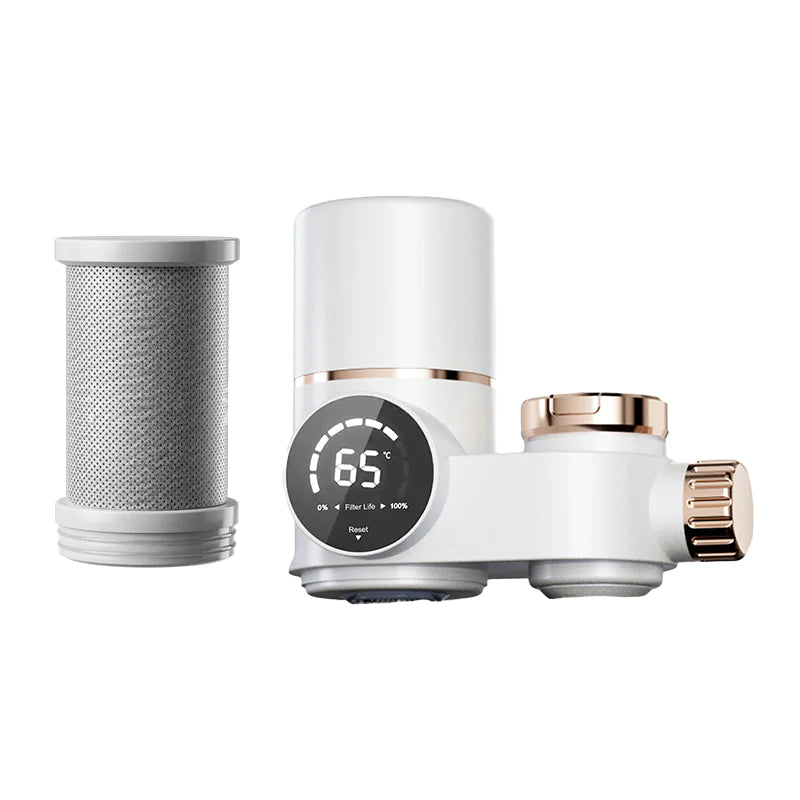 Electric Water Purifier