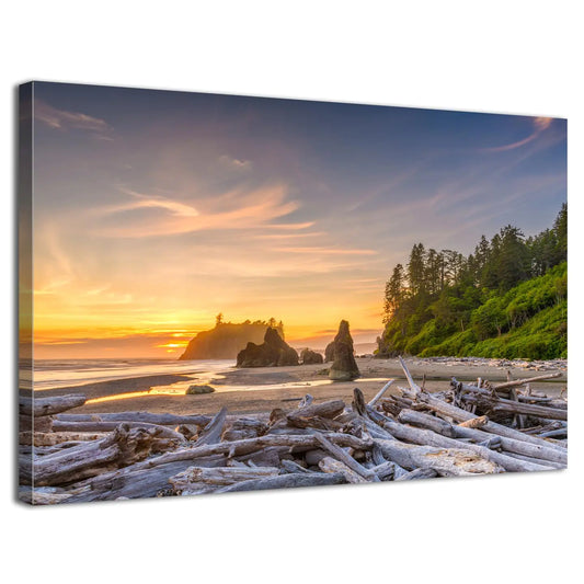 Olympic National Park Coastal Wall Art Sunset Ruby Beach Wall Decor Nature Driftwood Scenic Canvas Pictures Rialto Beach Landscape Photo Prints Artwork for Living Room Office Home Decoration 20x30"