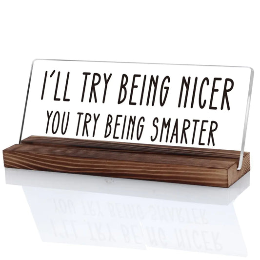 OCCdesign Funny Office Desk Sign Gifts For Coworkers Work Humor Office Decor Accessories Ill Try Being Nicer You Try Being Smarter Sign Plaque Decor for Office