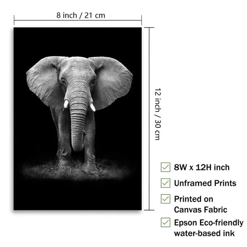 Black and White Animal Canvas Wall Art Poster (1pc)