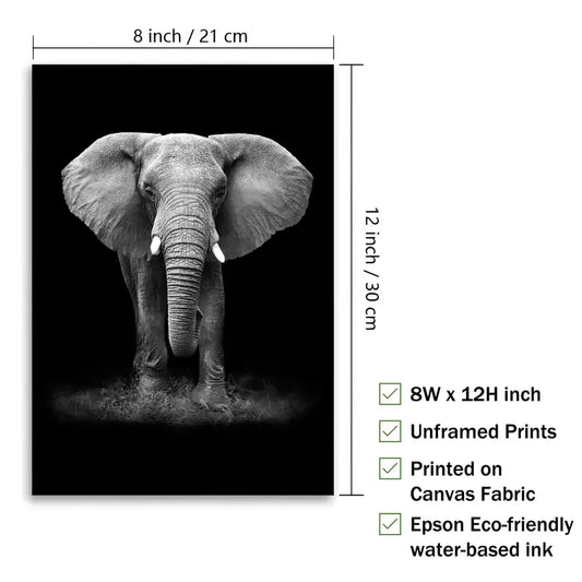 Black and White Animal Canvas Wall Art Poster (1pc)